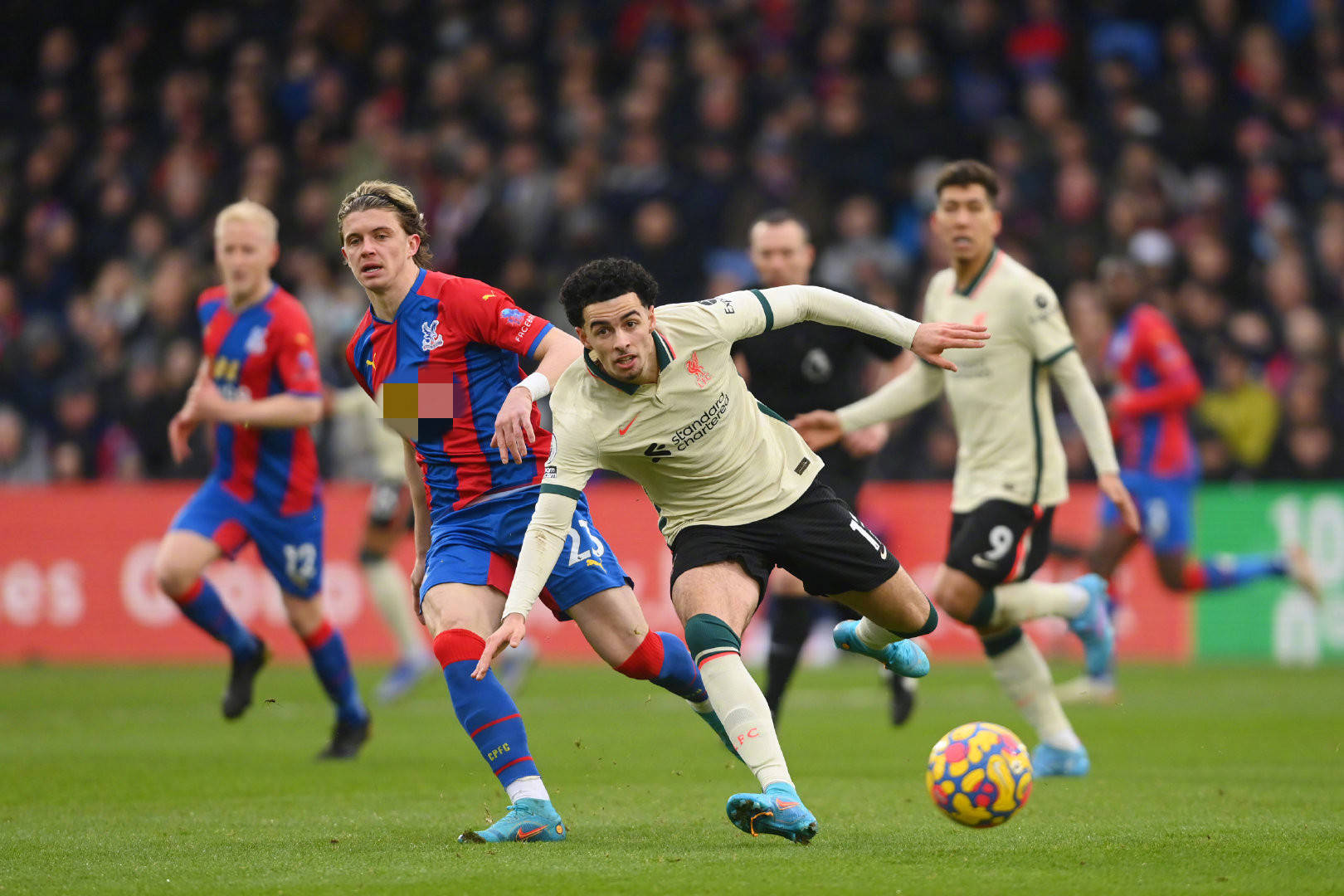 性上都存在 性上都存在